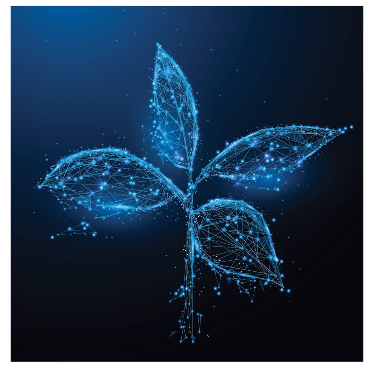PlantSciCenter's tweet photo. Our latest newsletter is online #Connectivity @PlantSciCenter @psc_2020 @usys_ethzh
https://t.co/Ajv3hNPnVF https://t.co/dJk4tSmXao