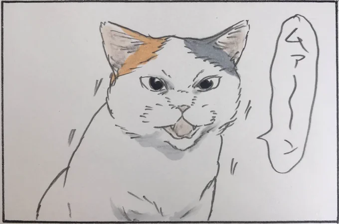 『いつもと違う』 