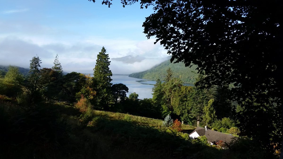 PerthshireCCP's tweet photo. More PCCP #birthday facts: #Didyouknow ~1,500 #conifers of over 80 different species have been planted through the programme across parks, #forests, #gardens and estates in #Perthshire Big Tree Country?

https://t.co/DNikDyqeWK

#bigtreecountry #threatenedconifers #conservation https://t.co/PMKLEbs7Bu