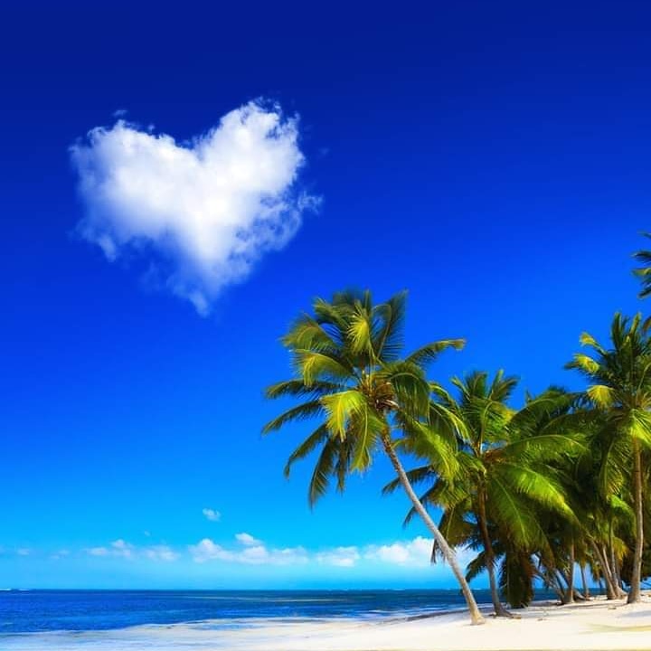 caribbeanCTT's tweet photo. Wishing Good Health &amp; Happiness to everyone on #worldheartday2020
🌊🌴❤️
#Caribbean #vacation #beaches https://t.co/0WpwrjjYSb