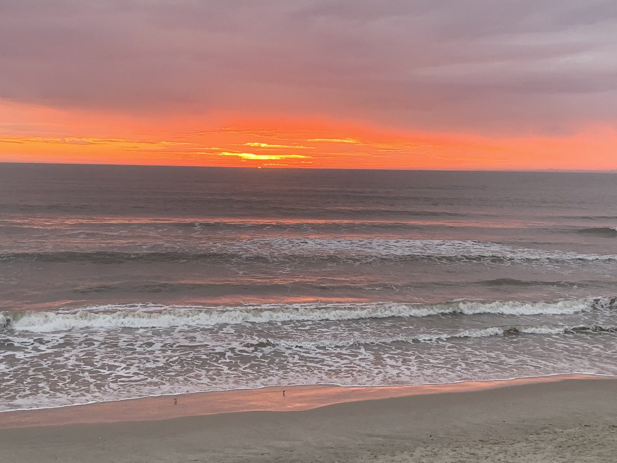 asinglesserving's tweet photo. Good Morning Sunshine! #Corolla #OBX #Keto #Insta #Blogger #FoodPics #LowCarb #InstaFood #FoodPorn #FeedFeed #Foodstagram #Foodie #PhotoOfTheDay #Delish #Healthy #Biologique #Biologico #GlutenFree #Brunch #Recipe #Cena #Vegetarian #Vegetariano #Végétarien #Sunrise https://t.co/19bQLQG3MR