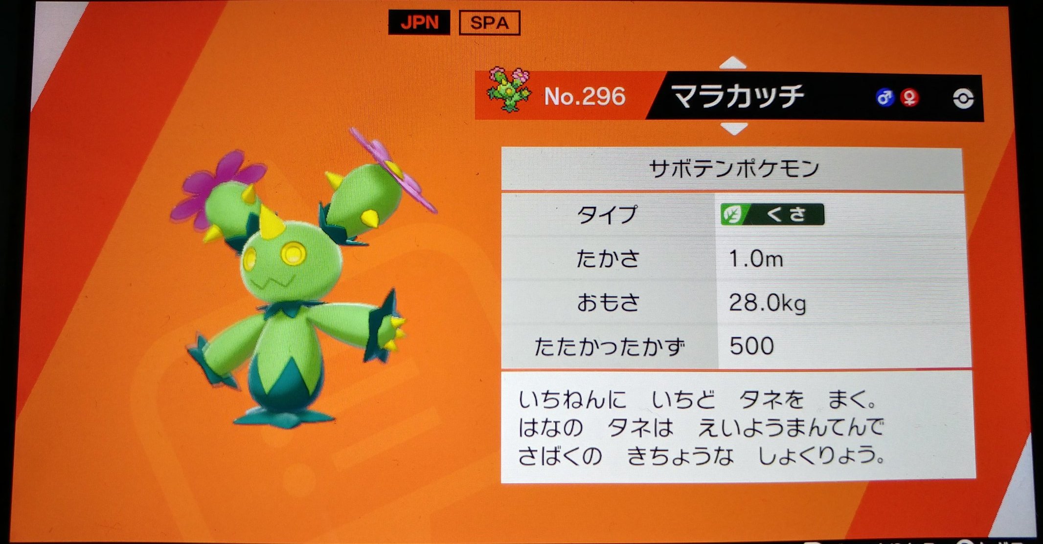 Kinokon 生き物系ブロガー 生き物ネット 唐突にポケモンの話 色違い二つ名個体狙って500体倒しました なんか500倒すと3パーの確率で色違い出やすくなるって聞きました これからが本番です W どうせ証なくても色違いでたら満足すると思うけど