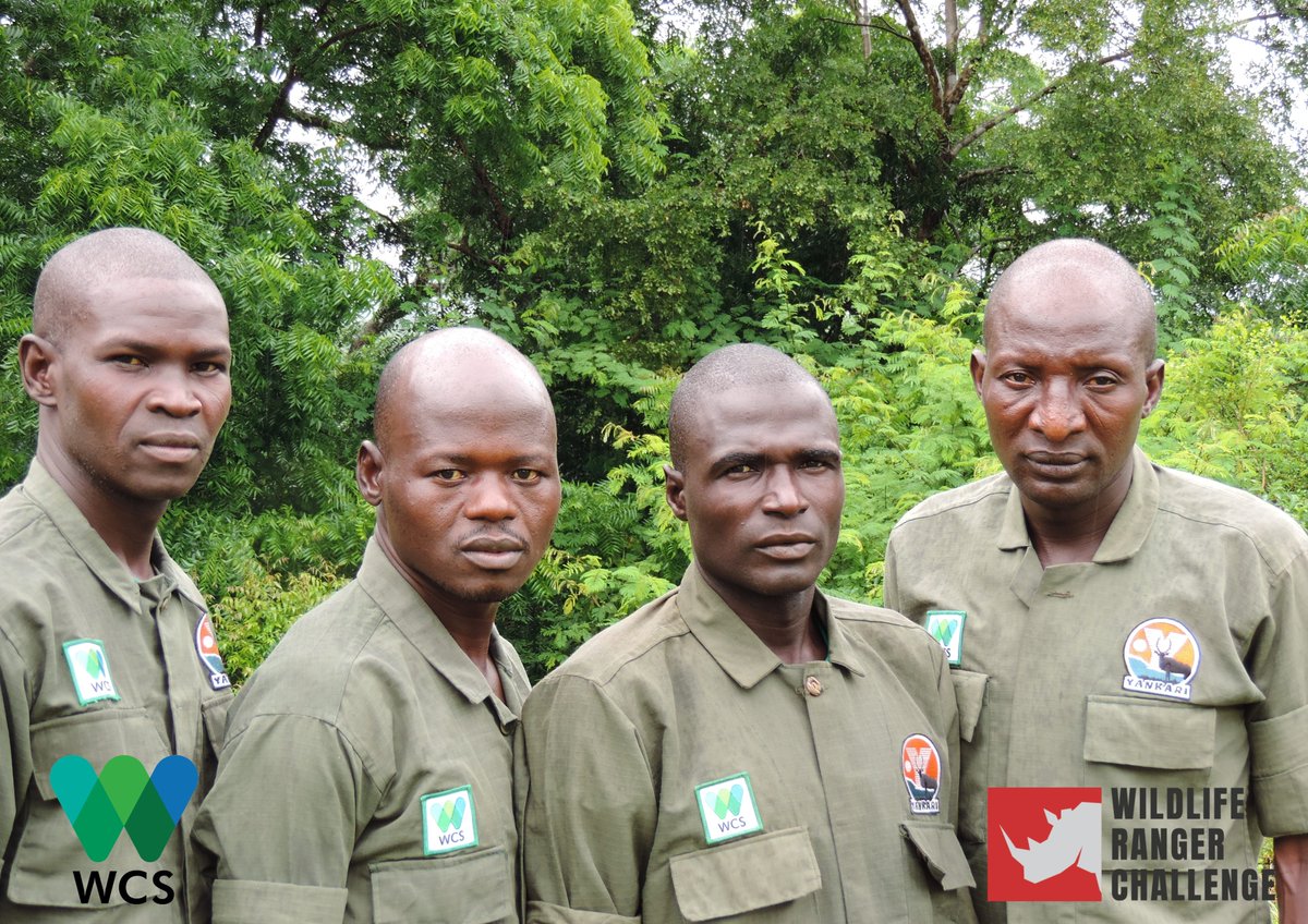 WCS_Nigeria's tweet photo. To help raise funds for endangered lions &amp; elephants in Nigeria, these 4 Yankari rangers will run a half marathon on Saturday in full uniform &amp; carrying 22kg. Please join us remotely &amp; register via https://t.co/qZqYsavqck or donate https://t.co/LtGsNHcmPL https://t.co/6xpFhIawvF