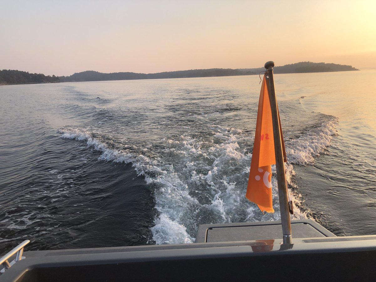 otillorace's tweet photo. Never stop chasing your dream! Do not back down in the face of adversity! Find your inspiration and move forward. Thank you for you! #fuelthefirewithin #otillo #swimrun https://t.co/fsu5ekjwjL