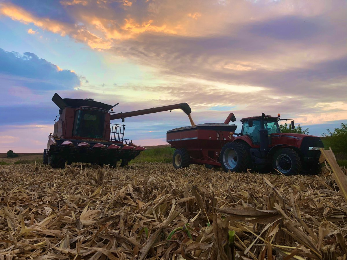 Continuum_Ag's tweet photo. Ready to get back to #Harvest2020 today after a couple days sitting still due to rain. 🌽🌧🌽
Going to pick one of our #60InchCorn trials from @OnFarmNetworkIA and @MultiIowa today is the plan! 💪🤘😎 https://t.co/YQinGoI59E