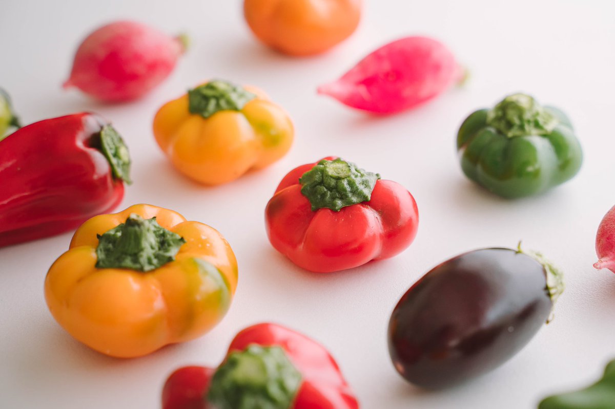 Yuta Nakayama マーシー ミニ野菜可愛い 腸活ミニ野菜 ぬか床専用 ぬか床 ぬか漬け 腸活 ミニ野菜 みらい畑