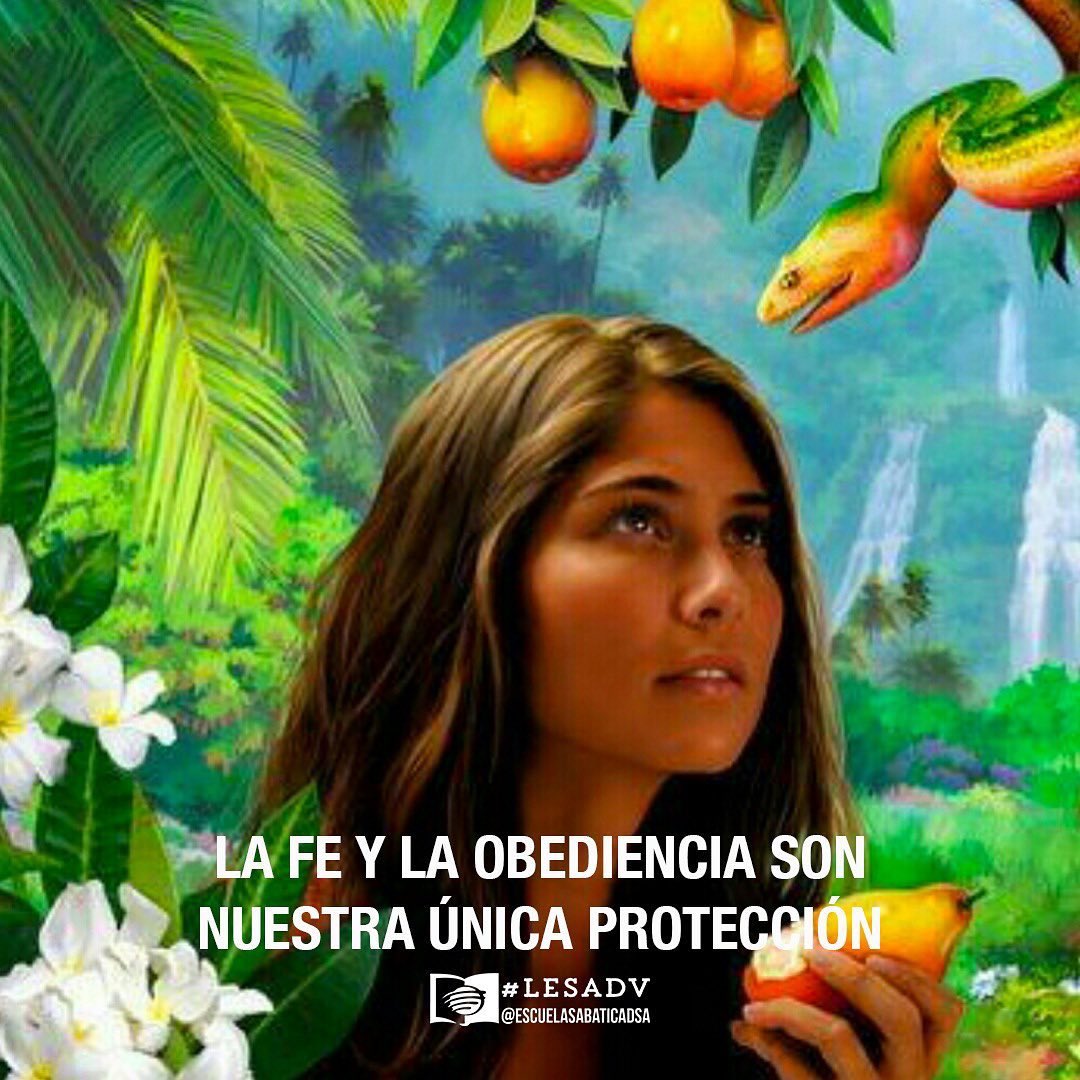 FernandoRojas16's tweet image. #LESAdv 

PASAR POR ALTO EL MENSAJE  

“Adán comprendió que su compañera había transgredido el mandato de Dios, menospreciado la única prohibición que les había sido puesta como una prueba de su fidelidad y amor”.

#Mana2021