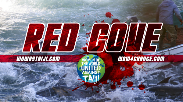 Red Cove Dolphins were killed in Taiji, Japan today. Help us stop the slaughter #WOWvTaiji #Taiji website: wowvstaiji.com