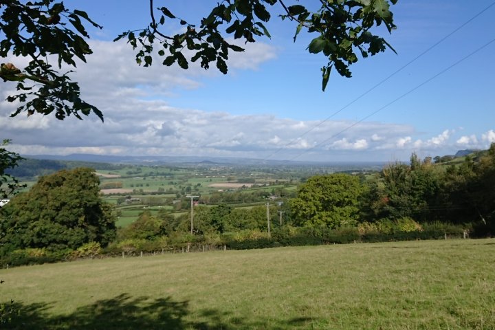 Another great bench on Offa, and if heading north to south, we'll located for a sit down at this point. So where am I today and what's the view <a href="/NationalTrails/">National Trails</a> <a href="/howardmrw/">Aʀᴄʜᴀᴇᴏ𝖉𝖊𝖆𝖙𝖍</a> <a href="/ODCollaboratory/">𝙾𝚏𝚏𝚊'𝚜 𝙳𝚢𝚔𝚎 𝙲𝚘𝚕𝚕𝚊𝚋𝚘𝚛𝚊𝚝𝚘𝚛𝚢</a> <a href="/RamblersCymru/">Ramblers Cymru 🏴󠁧󠁢󠁷󠁬󠁳󠁿</a> <a href="/LDWA1/">The Long Distance Walkers Association</a>