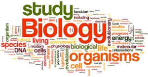 Online_Writers1's tweet image. #biologyassignmenthelp #biologyexperttutors #onlinebiology #biologyhomework
#Biology 
We at assignment help provides students all the required materials from several sources and help them make a single, accurate and correct conclusion out of them.

email-stacyhillson96@gmail.com