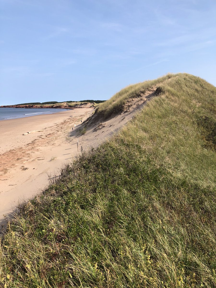 DrIvanJoseph's tweet photo. What you FOCUS on is what you get. Don’t spread yourself thin & take on too many strategic priorities or try to master all skills at once. You will feel like you are walking in sand. Be narrow & deep in your field & you will build a reputation of excellence. #SelfConfidenceCoach https://t.co/DnO5S6Tch9