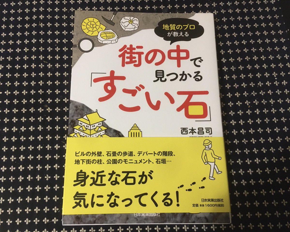 ざっと読み。面白かった！
数億年の時を超えて、街の外壁や敷石に…！
石材をネットで検索しながら見るとさらに深まりそう。

西本昌司「街の中で見つかるすごい石」

njg.co.jp/book/978453405…