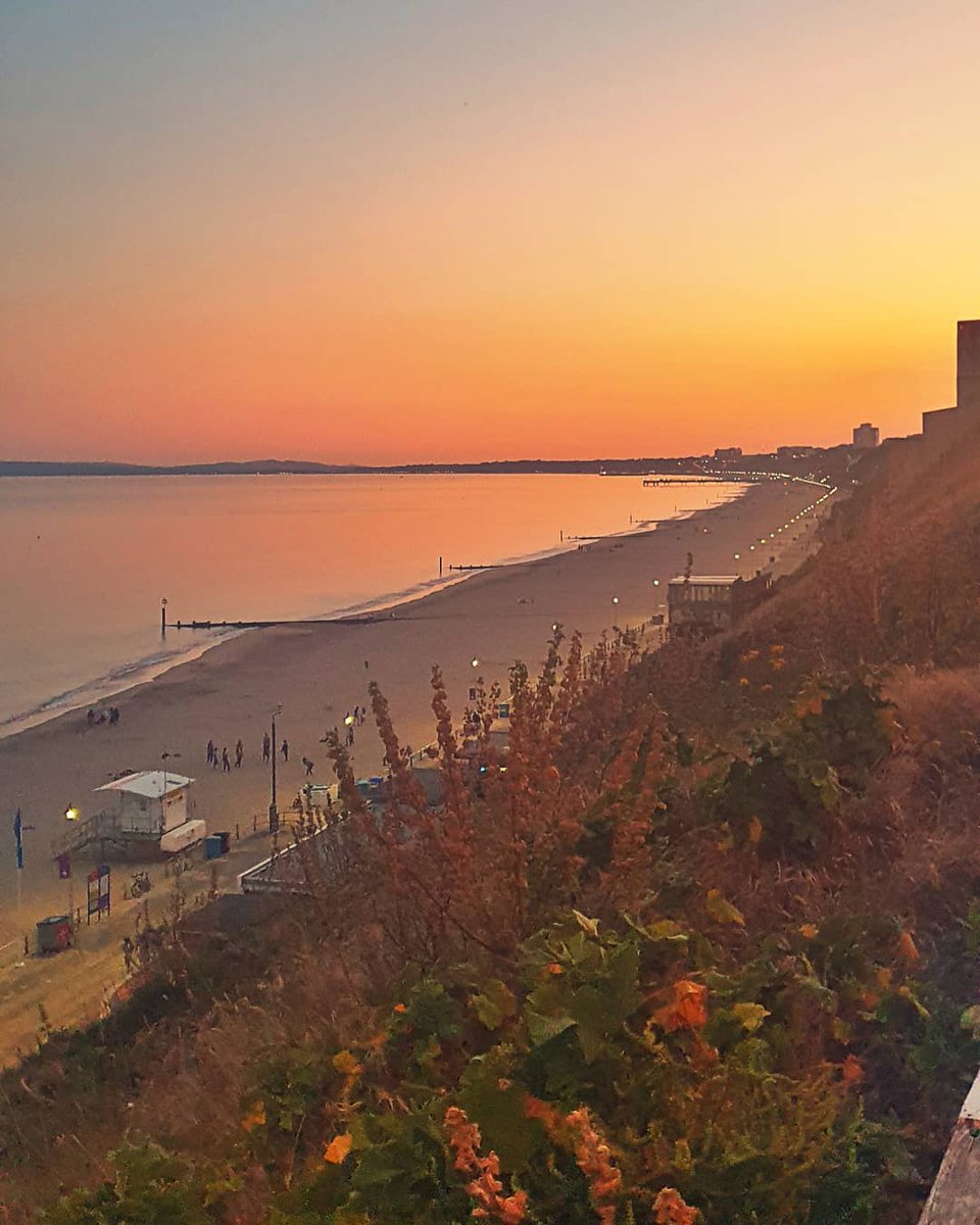 Love Bournemouth tweet media