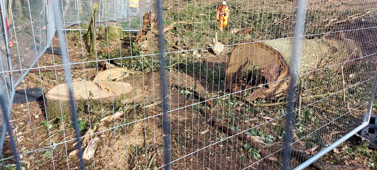 Chris Packham tweet media