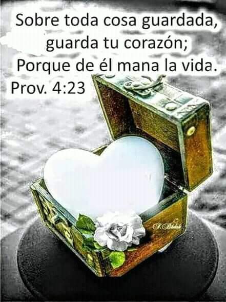 ALBERTO40840253's tweet photo. 🤲🤲 https://t.co/OFLYTxHVIZ
