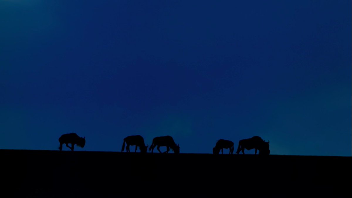 commandshift_3's tweet image. Jane (2017)