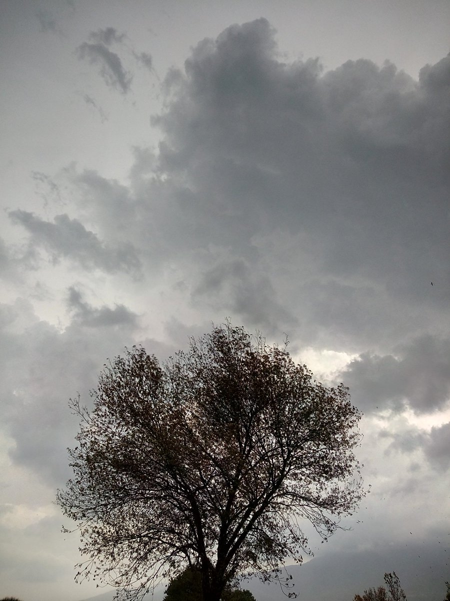 ahpahte's tweet photo. Seviliyorsun kasvetli hava ☔ https://t.co/Hp3j10DNZO