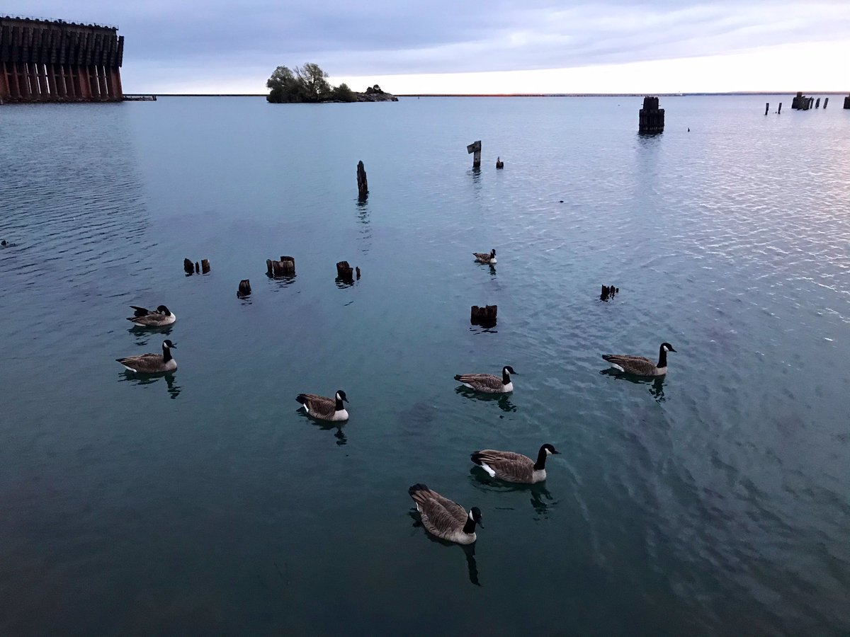 Sunrise 638. I had the delight of bumping into  @MichiganGonzo this morning who joined me for a sunrise coffee chat. &ndash; bei  Hampton Inn by Hilton
