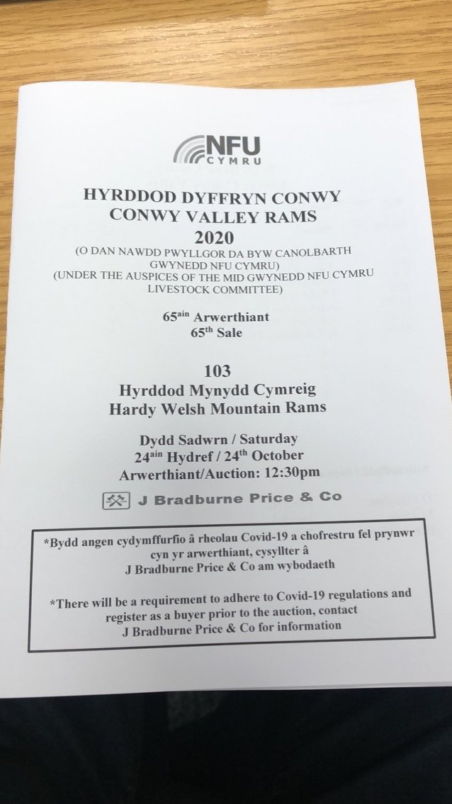 NFUDyffrynConwy's tweet photo. Y Rhaglen ar gyfer Sel hyrddod @NFUDyffrynConwy 2020.
The Schedule for @NFUDyffrynConwy Rams sale 2020. 

@NFUCymru @brynauctioneer https://t.co/0NActxBXsM
