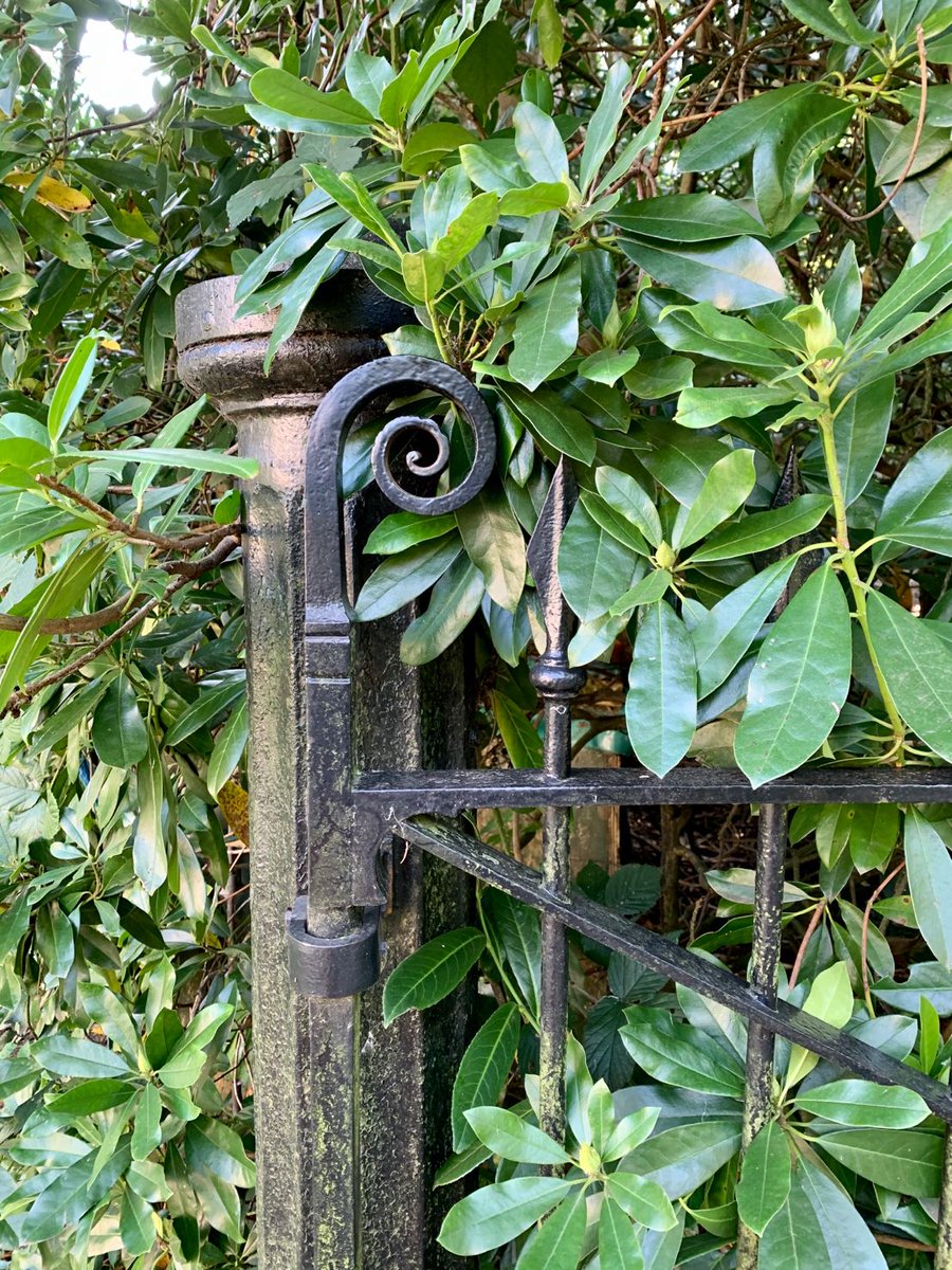 Hall Conservation tweet media