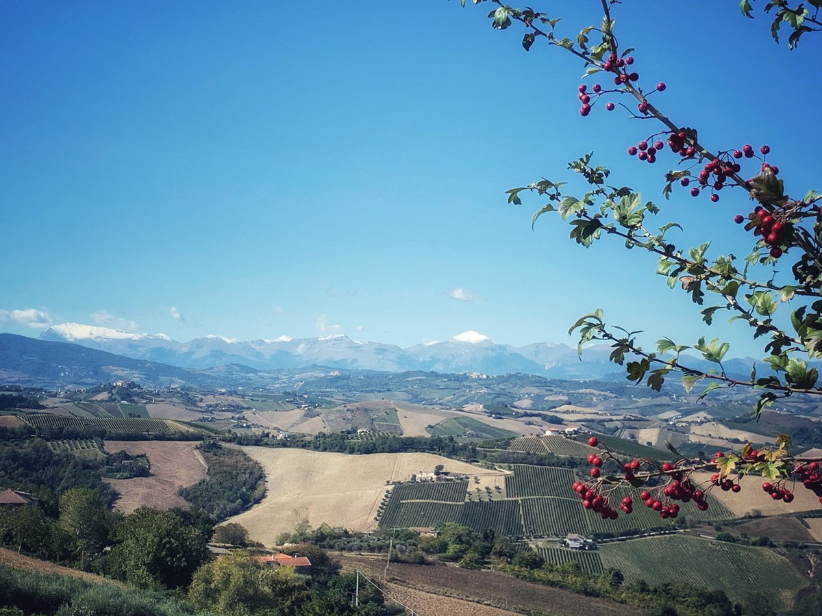 glucanto's tweet photo. Giornata limpida, temperature piacevolissime e una collinare che mi regala panorami come questi. Con la #Priora innevata tipo Monte Fuji 😅 e la catena dei #Sibillini che incorona le colline marchigiane.
#VivereLeMarche #in4scatti https://t.co/1T0gWdf3LC
