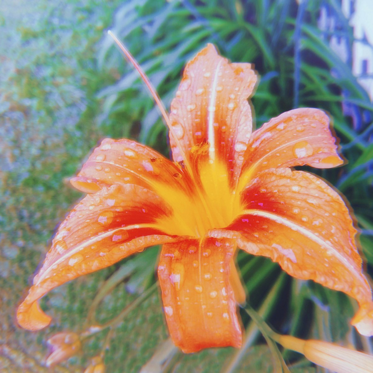 "We live in a world in which we need to share responsibility. It's easy to say, 'It's not my child, not my community, not my world, not my problem.' Then there are those who see the need and respond. I consider those people my heroes." - Fred Rogers