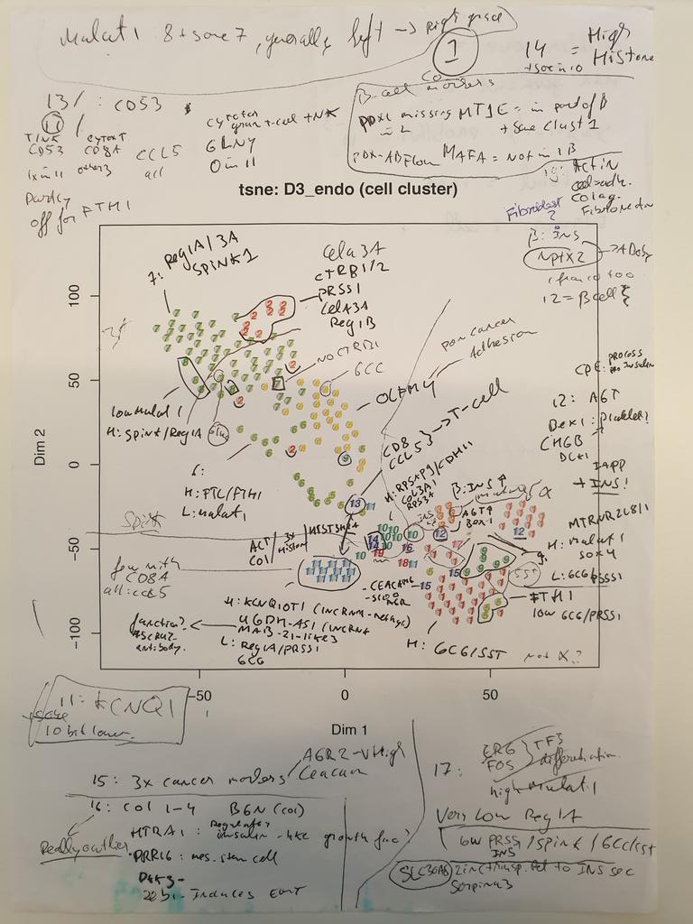 Mauro Muraro (@maurojmuraro) on Twitter photo Found one of the first #tSNE maps we ever made of #singlecell human data (pancreas, early 2014 in this case) at the <a href="/AlexandervanOu1/">Alexander van Oudenaarden</a> lab with <a href="/dominic_grun/">Dominic Grün</a>'s RaceID! Back when single cell datasets were small enough to carefully look at each cell individually :) Found one of the first #tSNE maps we ever made of #singlecell human data (pancreas, early 2014 in this case) at the <a href="/AlexandervanOu1/">Alexander van Oudenaarden</a> lab with <a href="/dominic_grun/">Dominic Grün</a>'s RaceID! Back when single cell datasets were small enough to carefully look at each cell individually :)