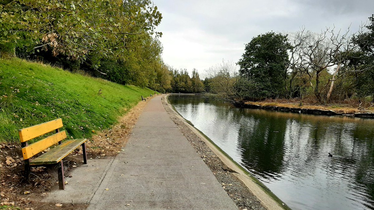 Autumn is in the air 🍂 #autumnvibes #corkcity #greenspaces #themarina #atlanticpond