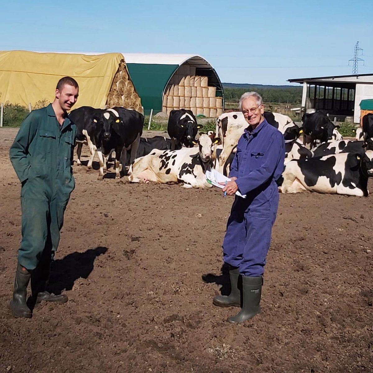aAaWeeks's tweet photo. Bram and Aart van Ommeren, aAa customers since 2016, at Ompol Farm in Lebork, Poland. The 350-cow herd averages 11 000kg M, 4.2%F, 3.5%P. Pictured is Jantje 53 with 100 000kg milk in 9 lactations.
#aAaWeeks #SireTheNeed #BetterFormBetterFunction https://t.co/yENc0QILzx