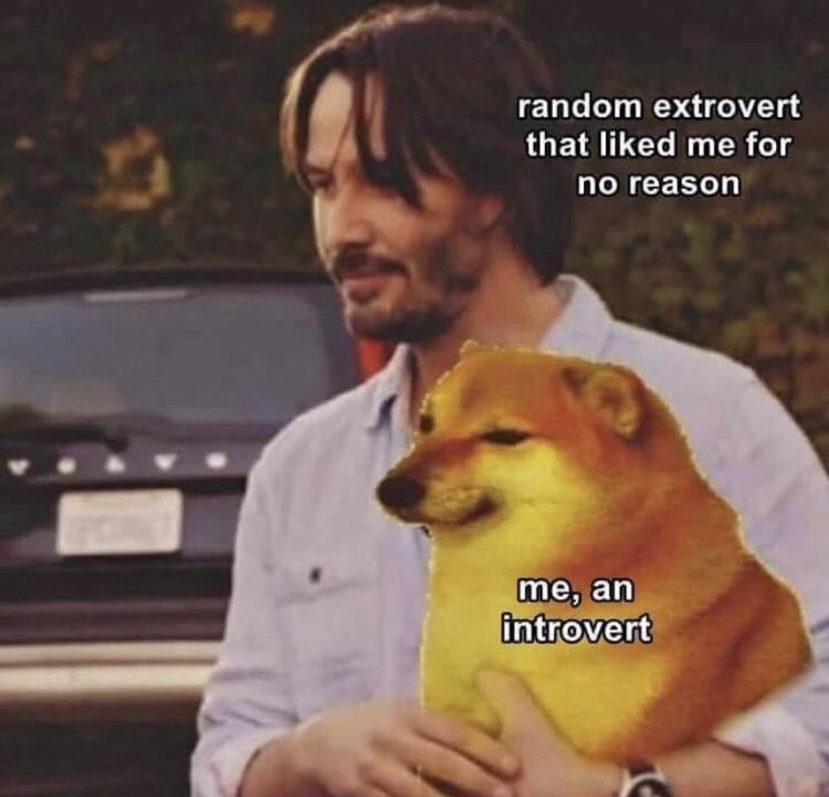 Respectful Memes (@respectfulmemes) on Twitter photo 