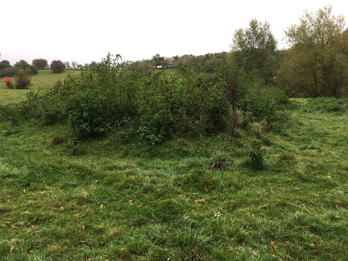 Harrold-Odell Country Park tweet media