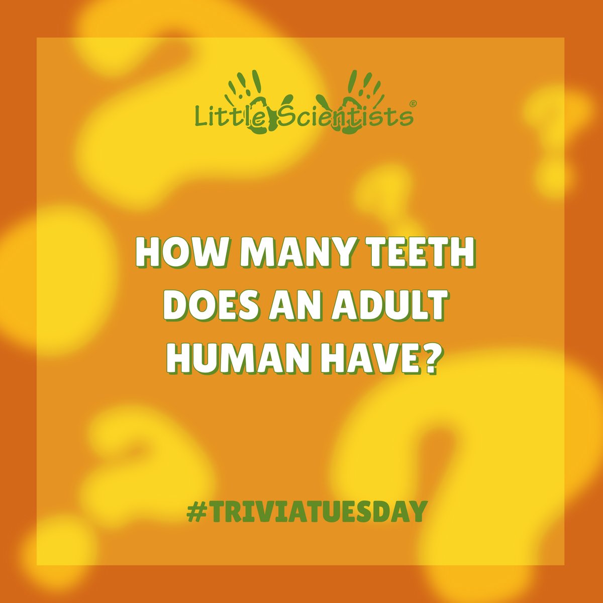 LScientists's tweet photo. Its #triviatuesday and today we're sinking our teeth into #bones 🦷 How many #teeth does an adult human have? Comment below with your answer and @ a friend! https://t.co/NwB5MFh6Dh