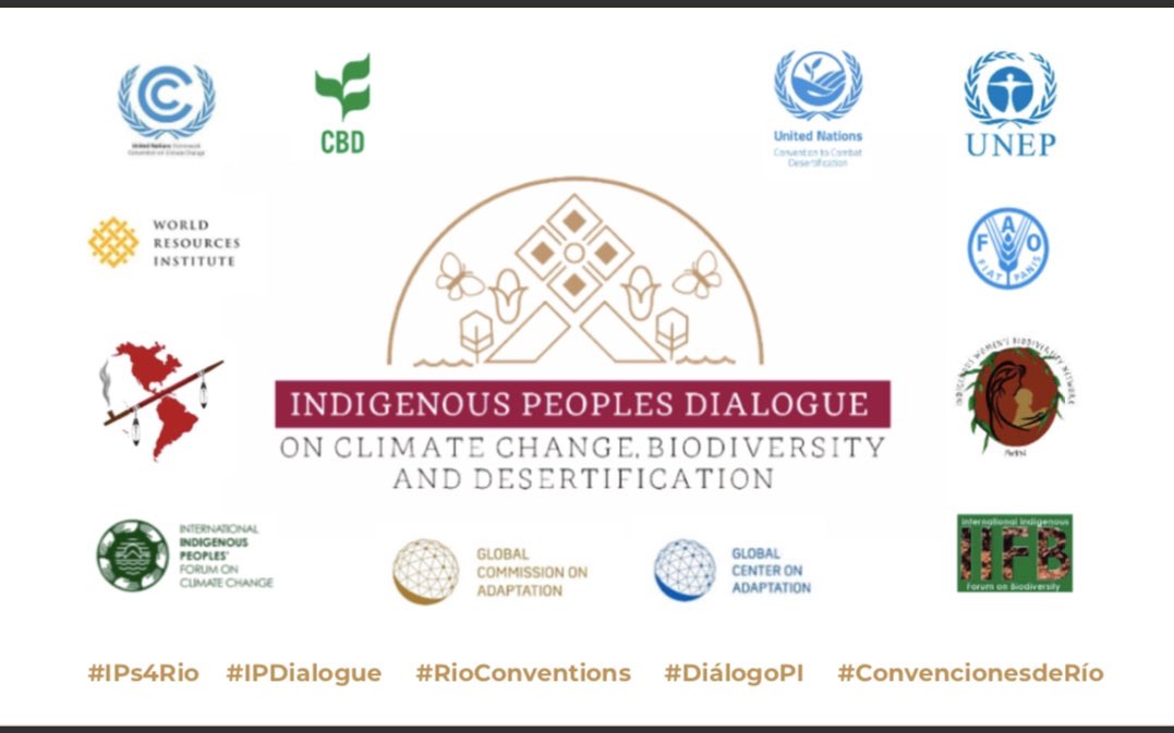 AnaCrisTovalin's tweet photo. @PEspinosaC reiterates the importance of #IndigenousPeoples to accomplish the goals settled under the #ParisAgreement. IPs hold vast knowledge to accelerate #sustainabletransitions towards a #lowcarbonfuture and to #adaptourworld 
#IPDialogue #RioConventions https://t.co/sTHc5c6Nm4