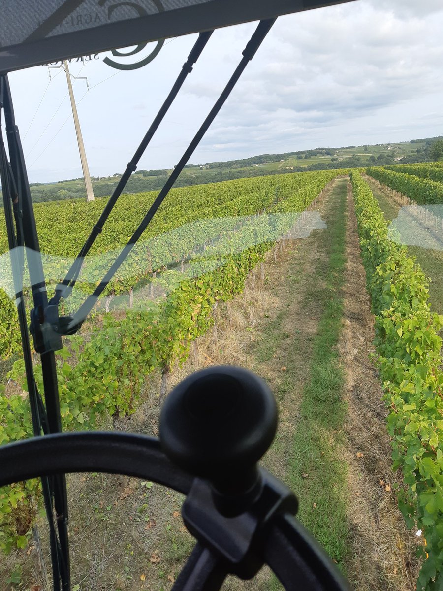 PascalNerbesson's tweet photo. On tire le rideau sur les #Vendanges2020 🍷 
Bilan satisfaisant si ce n'est mes cabernets sauvignon qui ont pris un coup de chalumeau ya 15 jours (6ha, ça pique), ça aurait pu être pire. En Bio, on en a ch...pr une 1ère année, mais rendement et qualité au rdv 💪 #FrAgTw #Wine https://t.co/k4ef6uqyXG