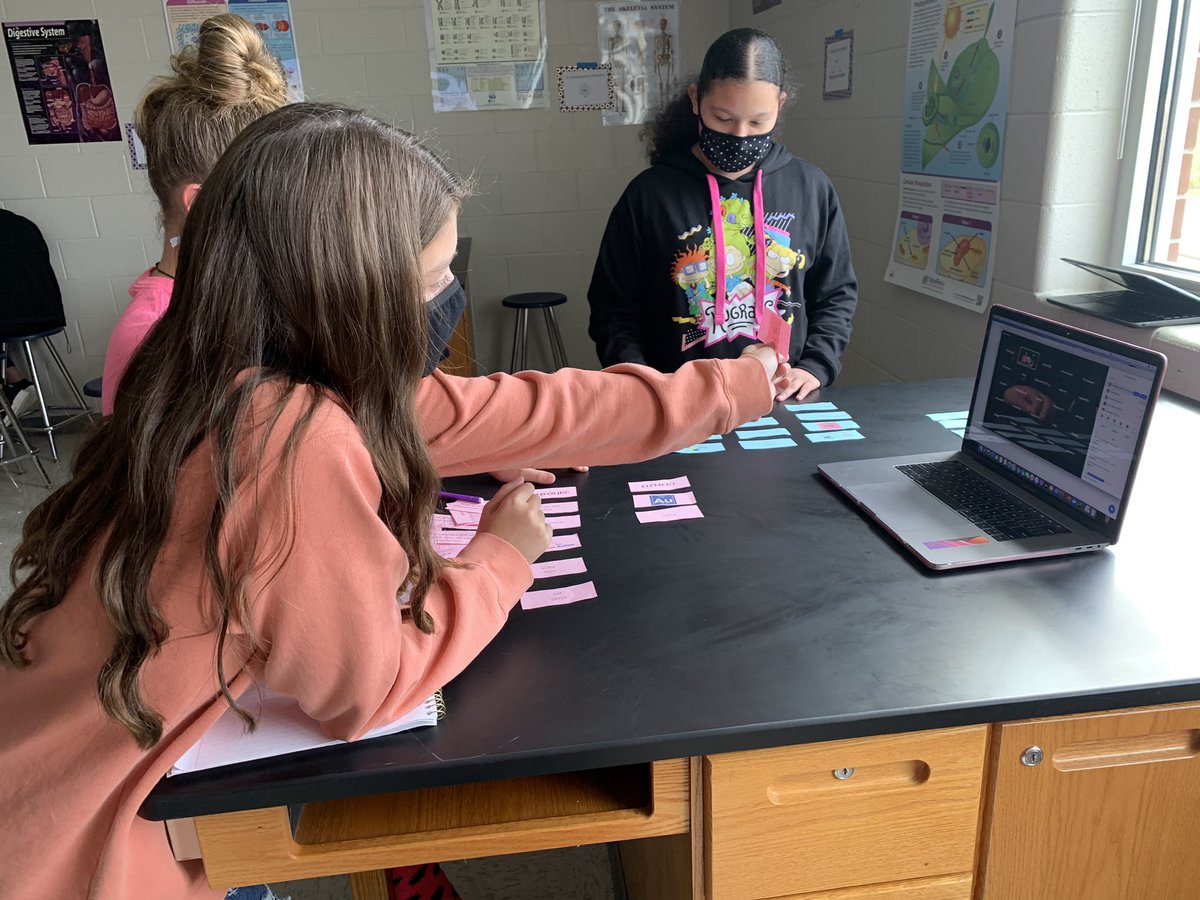 My traditional kids collaborating with my distance learners to sort elements and compounds! #WeOverMe