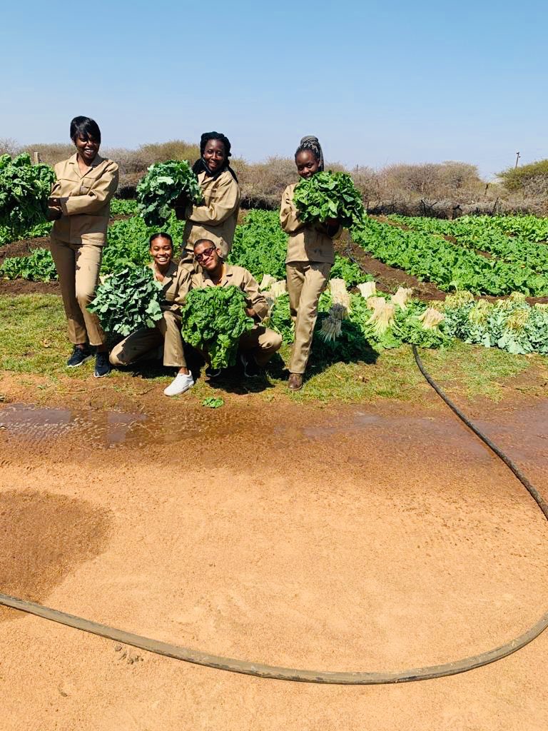 DimaManyama's tweet photo. Help me promote my business, @CoHaslen is a farming project founded by 6 university students. We farm 100% organic spinach in a farm situated in Pretoria. R15 for spinach and we deliver at your door for free around PTA Sandton &amp; Rosebank 
#TuesdayMotivation 
#SupportBlackBusiness https://t.co/UEsNbpSv9A