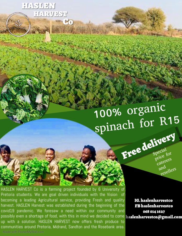 DimaManyama's tweet photo. Help me promote my business, @CoHaslen is a farming project founded by 6 university students. We farm 100% organic spinach in a farm situated in Pretoria. R15 for spinach and we deliver at your door for free around PTA Sandton &amp; Rosebank 
#TuesdayMotivation 
#SupportBlackBusiness https://t.co/UEsNbpSv9A