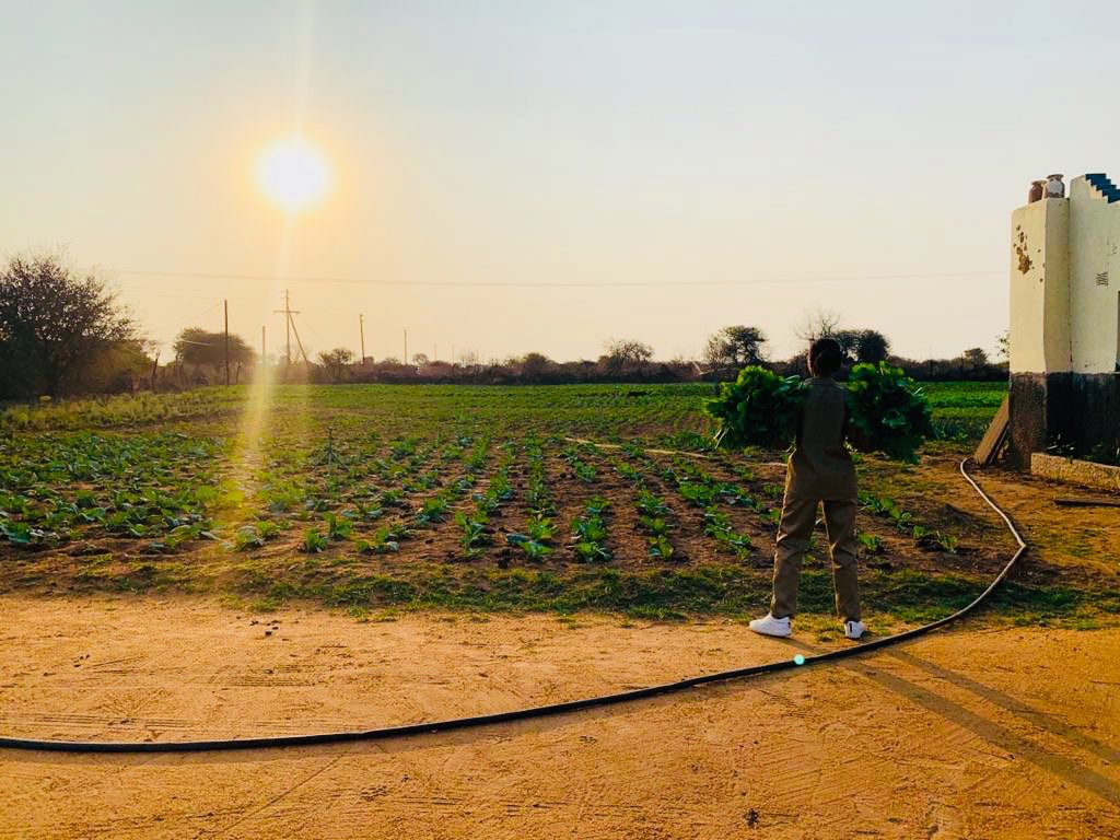 DimaManyama's tweet photo. Help me promote my business, @CoHaslen is a farming project founded by 6 university students. We farm 100% organic spinach in a farm situated in Pretoria. R15 for spinach and we deliver at your door for free around PTA Sandton &amp; Rosebank 
#TuesdayMotivation 
#SupportBlackBusiness https://t.co/UEsNbpSv9A