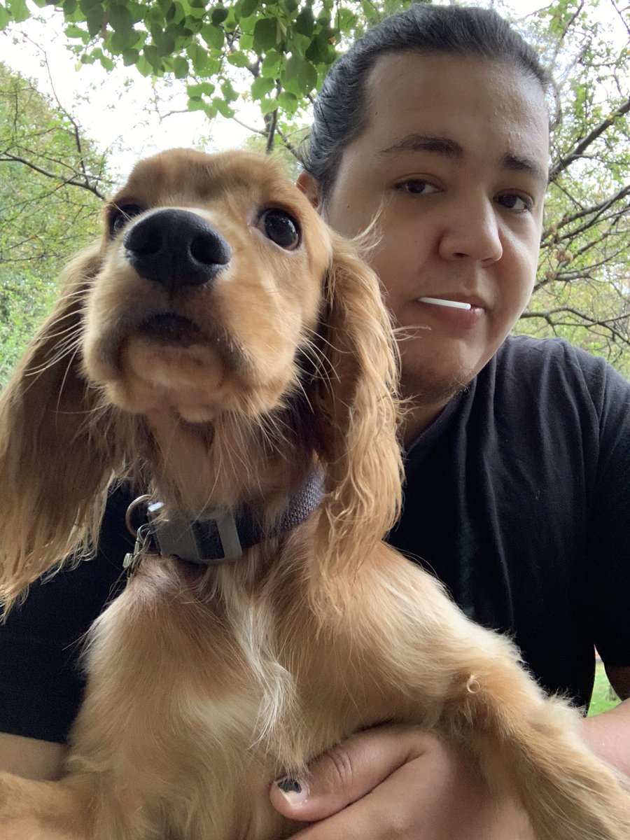 doubleohstatus's tweet photo. Nice walk with the boy before the rain comes through this morning 🐾 #YourFavMI6Agent #ThoughtsOfAnMI6Agent #MI6AgentThoughts #DoubleOhStatus #DoS #DioDioDio #Dionysus #ItWasDioTheWholeTime #cockerspaniel #englishcockerspaniel #puppiesofinstagram #puppies #boxpuppy #mutt #dog https://t.co/ljIWWckeXn