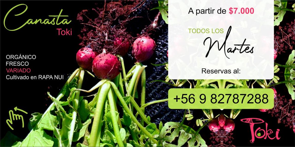Para todos aquellos que están en #RapaNui les dejamos este dato: La huerta orgánica de #TOKI tiene para ustedes canastas de verduras desde los 7 mil pesos ¡Hagan sus encargos! #Organico #IsladePascua #Verduras #Frutas #ComercioJusto #Agroecologia #Chile