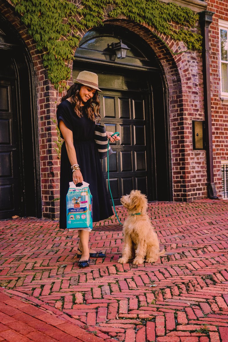 myriadmusings1's tweet photo. No more carpet soiling on bad weather days. Let ur dog chill in these @Hartzpets Male Wraps - bye accidents. Its recommended for dogs suffering from incontinence, urinate from excitement,surgery recovery purposes https://t.co/4V1WZw8P8b #DogsInDiapers #ad
https://t.co/FyYfJQTUgv https://t.co/onA4EasQIx