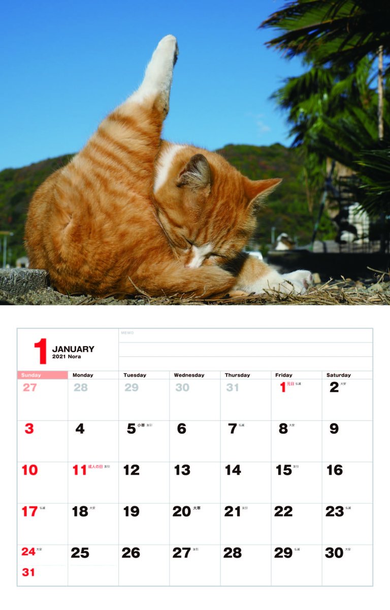 猫びより 岩合さんの猫カレンダー のら が21年版も登場 表紙は 映画 ねことじいちゃん で主演を務めたベーコン君です 好評発売中 T Co F5olmntqhu 岩合光昭 猫びより 岩合さんの猫カレンダー のら が21年版も登場 表紙は 映画 ねことじいちゃん で主演を務めたベーコン君です 好評発売中 T Co F5olmntqhu 岩合光昭