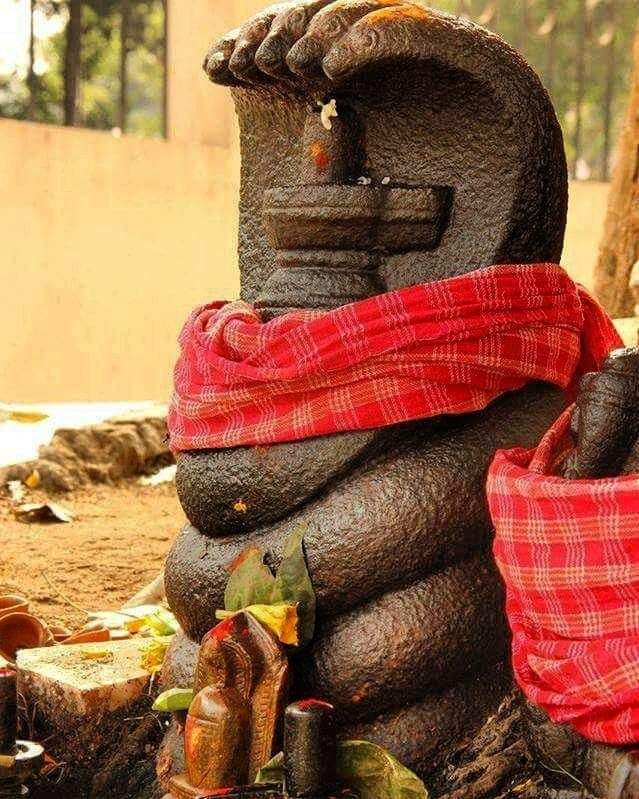 Himajyoti Talukdar💎 tweet media