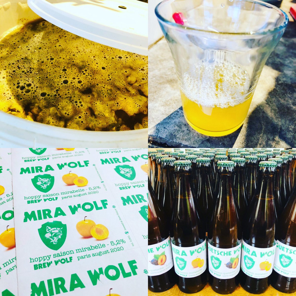 BrewWolf's tweet photo. Mise en bouteille de la Mira Wolf : hoppy saison à la #mirabelle de Diefenbach #mirabellesdelorraine @mirabellesdelorraine #hoppysaison @brewunique #brewwolf #craftbeer #homebrew #beerporn #brewporn #instabeer #biereartisanale #biere #brewunique #madeinlorraine https://t.co/3bswwP80YS