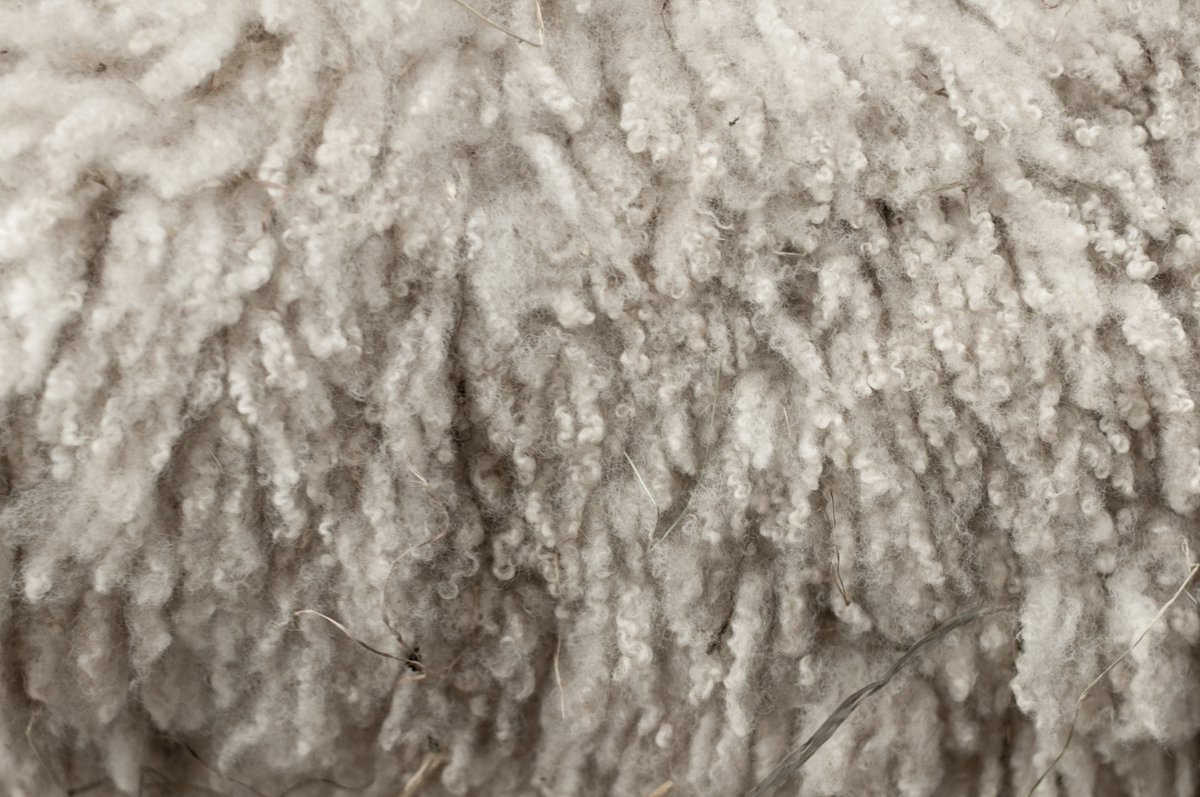 Wool - Linking past thread. Use it with intent and it'll reward you with incredible thermal characteristics and moisture control. Don't expect it to be durable or great in hot+humid weather.Superpower - Wool has odor resistance like nothing else https://twitter.com/FredRKozlowski/status/1308081470322376705?s=20