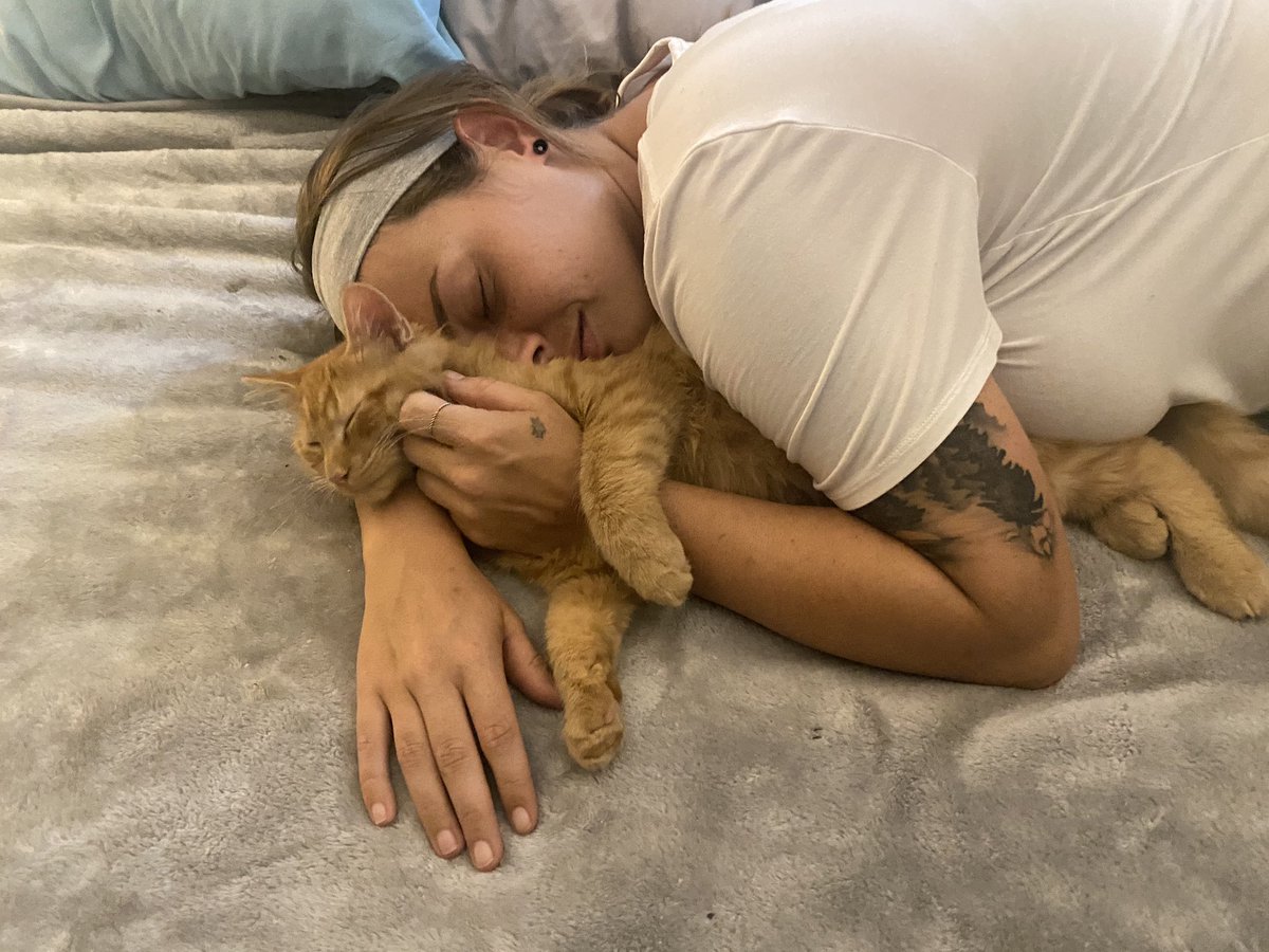 PagliaroJess's tweet photo. When your cat doesn’t mind it when you invade his space and actually snuggles in more 🥺🥺 #CatsOfTwitter #tuesdayvibes #WorldHeartDay https://t.co/KwB7pERUJM
