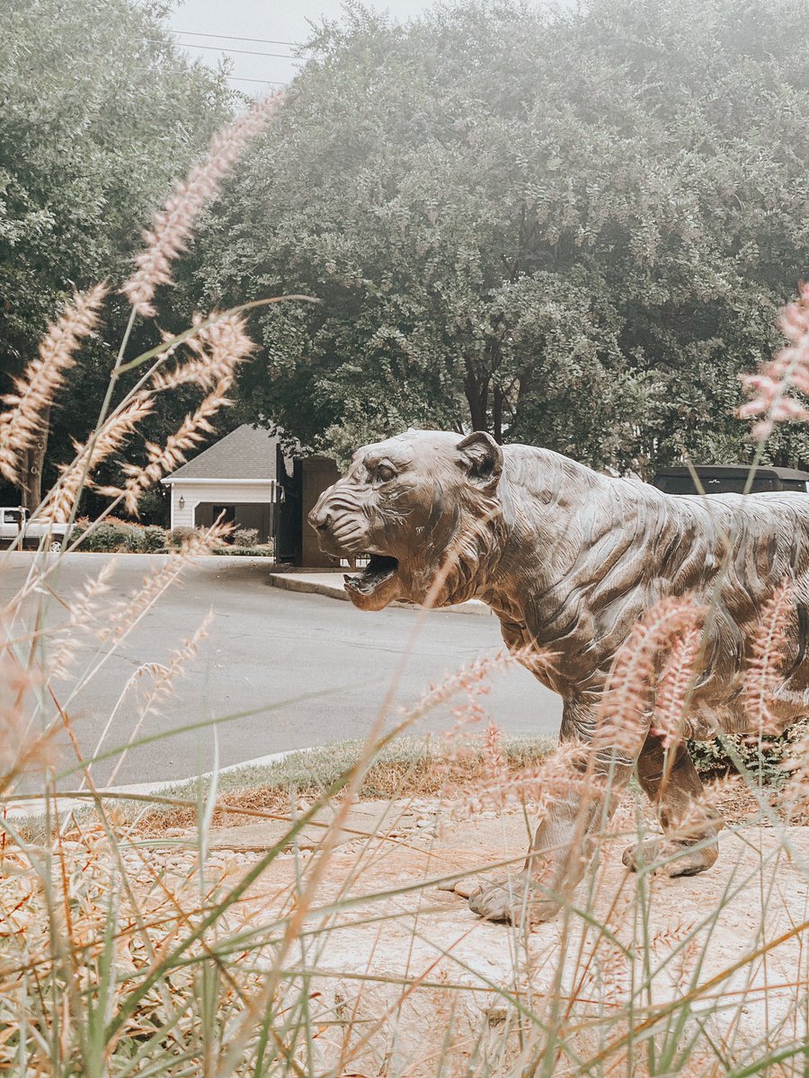 CharlottePrep's tweet photo. Welcome back Tigers, we hope you all enjoyed the long weekend.
#tigersroar #oneprep #charlotteprep #charlotteprepschool https://t.co/GZHPB8v4rM