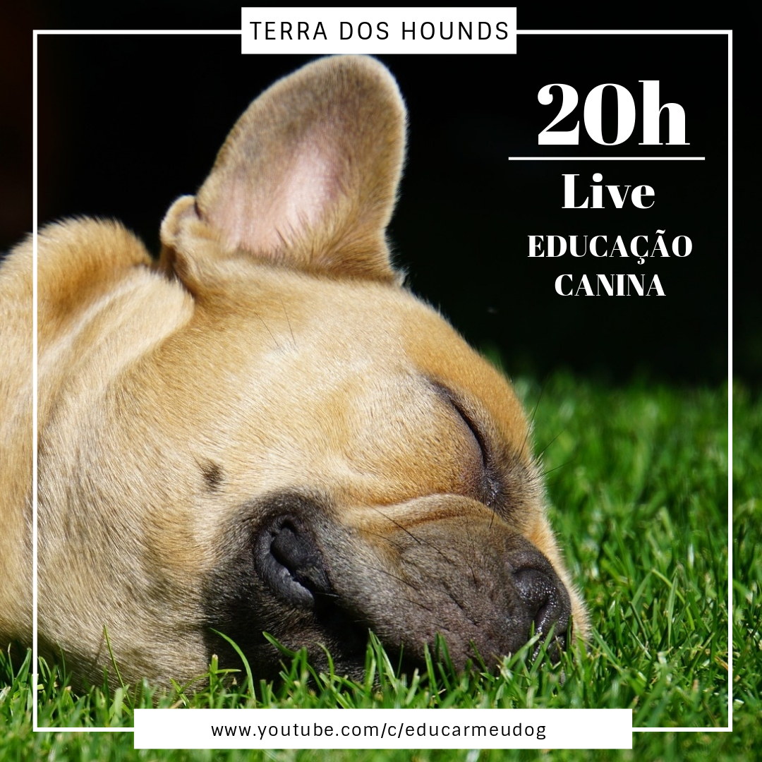 terradoshounds's tweet photo. Hoje é dia da nossa super live no canal do youtube! Venha aprender mais sobre educação canina às 20h (horário de Brasília).
https://t.co/9WDe6ITcg8
#EducarMeuDog #EducaçãoCanina #cachorros #psicologiacanina #cachorroétudodebom https://t.co/9u3Br1KV0Z