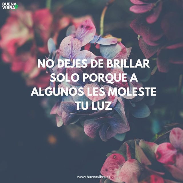Literat (@literartee) on Twitter photo 