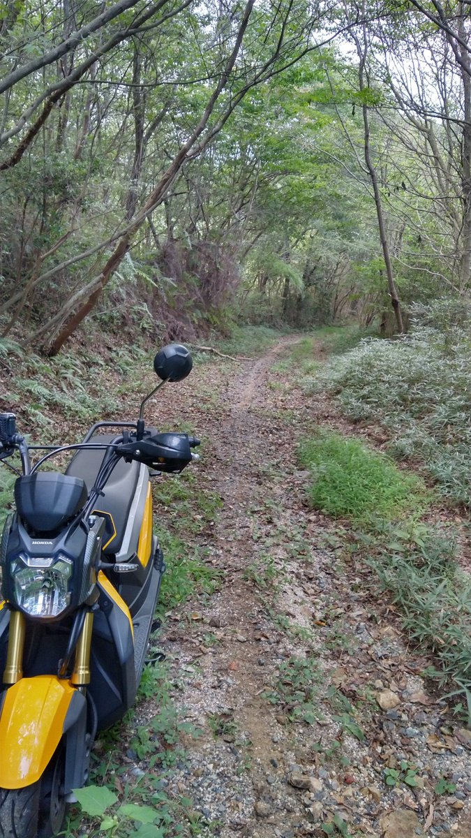 orangew650's tweet photo. この先から更にアップダウン激しくなるので戻ります
土質的に登れそうだけど降りるの怖い
#zoomerx https://t.co/IRJXCasiI3